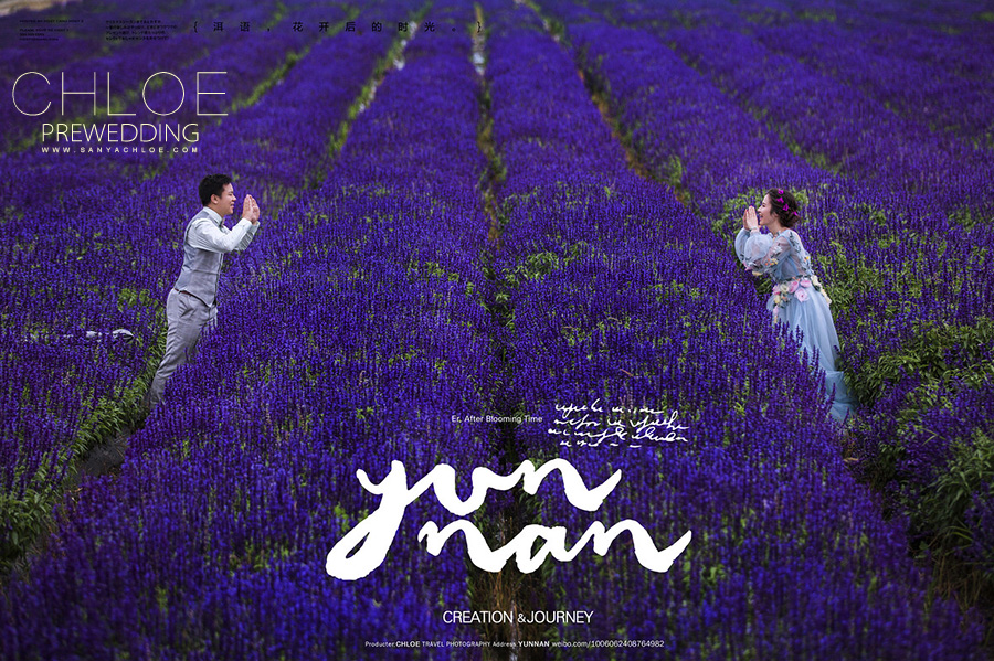 有一种浪漫叫做花海旅拍