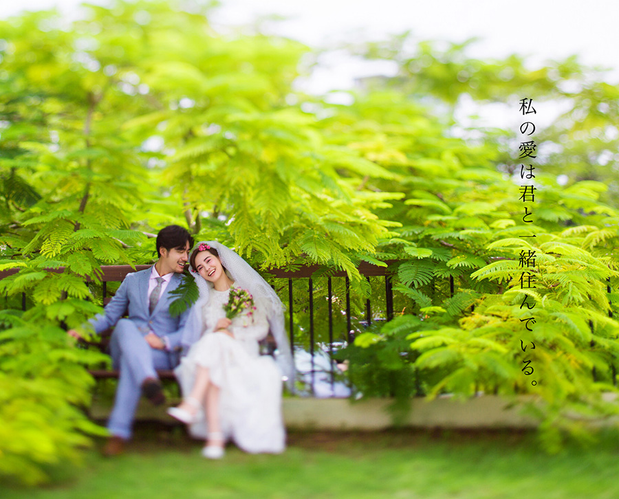 短发亦可拍婚照