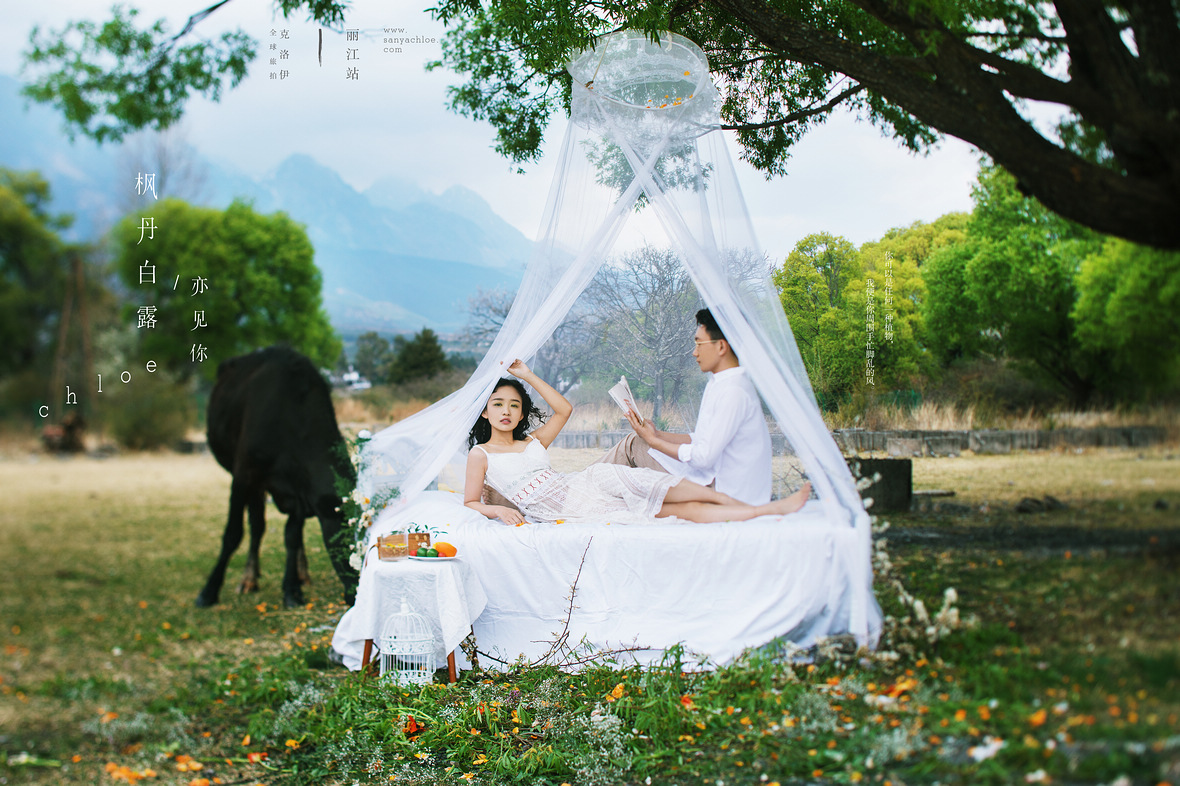 「煮茶赏花 拥抱自然」的婚纱照，才是真正的诗和远方