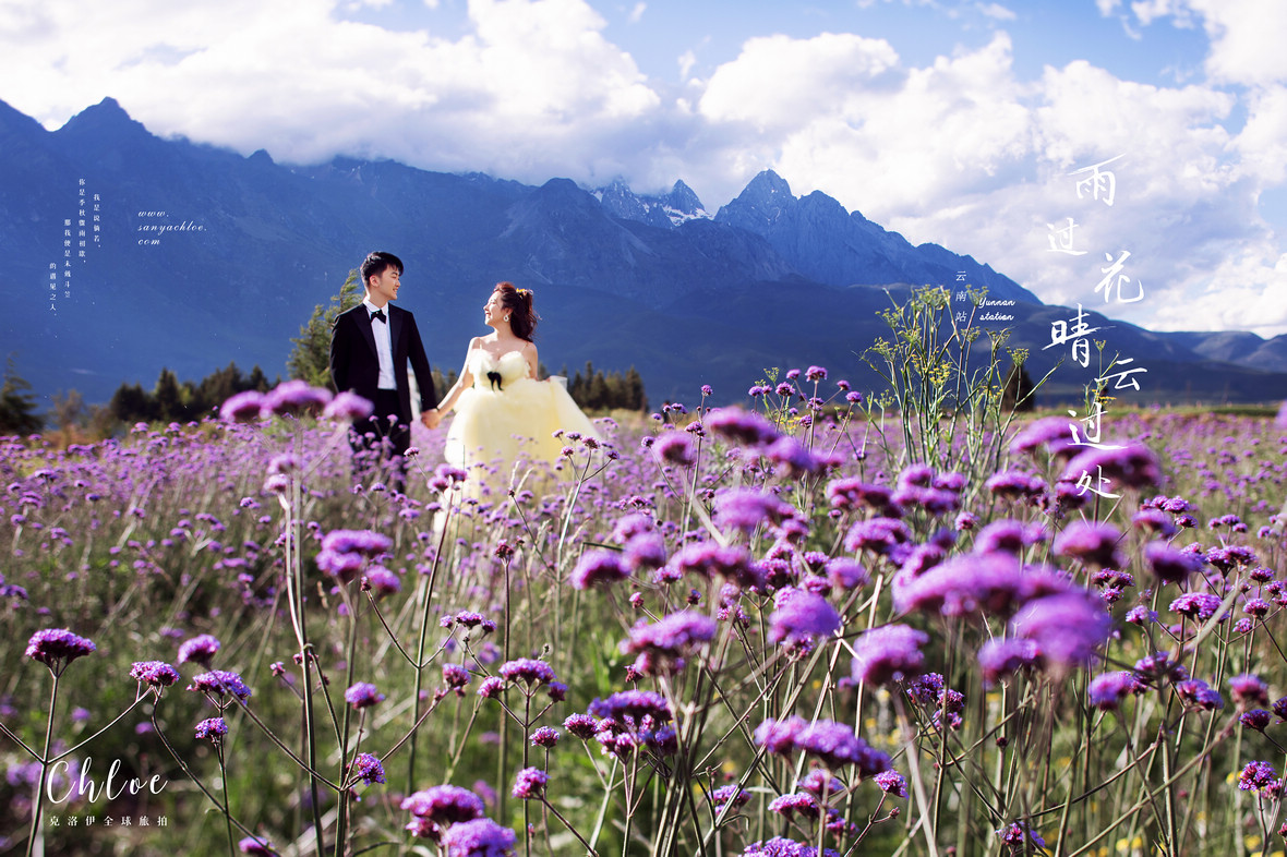 【揭秘克洛伊美学】九十三 真实客户揭秘丽江夏季花海婚纱照