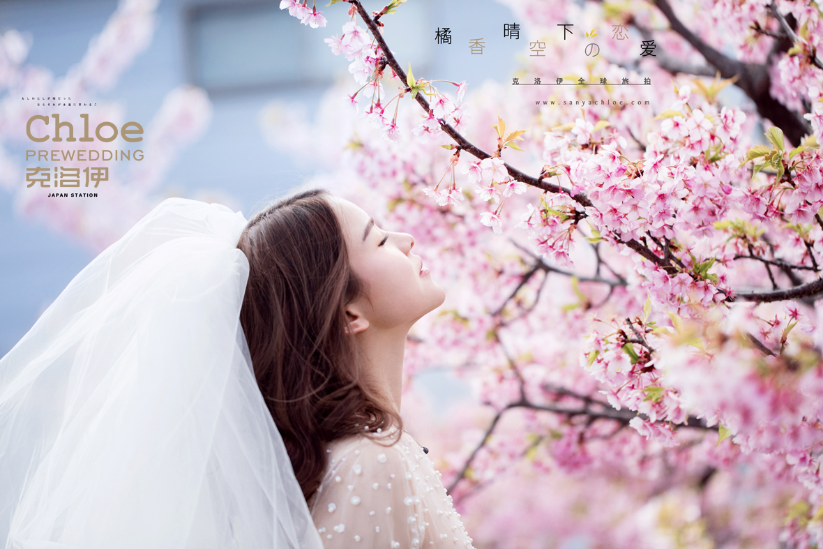 今年春天，我想和你去东京赏樱